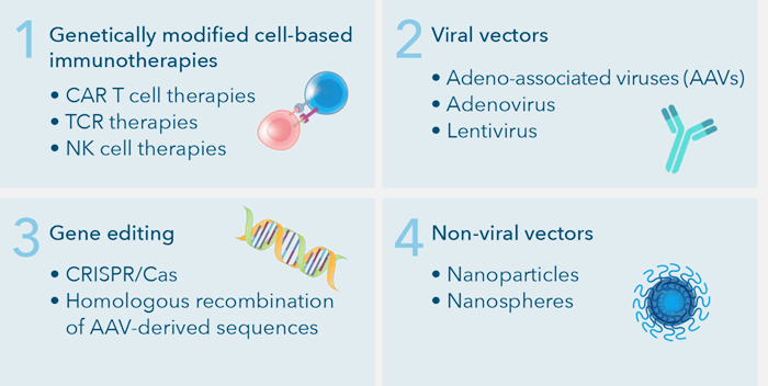 four main types gene therapy